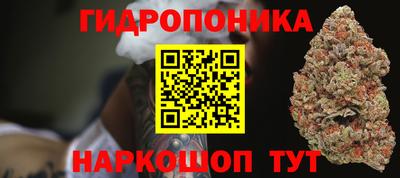 прущие грибы Мариинск