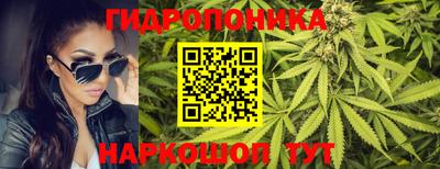 прущие грибы Мариинск